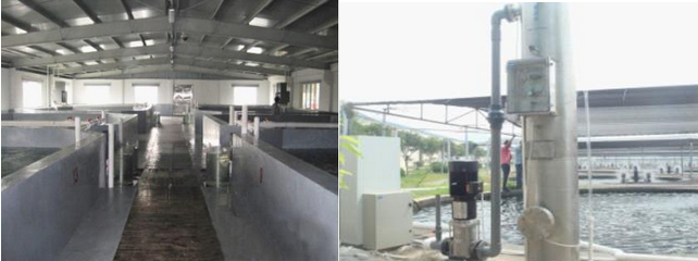 養魚水處理設備,水產養魚水處理設備臭氧發生器